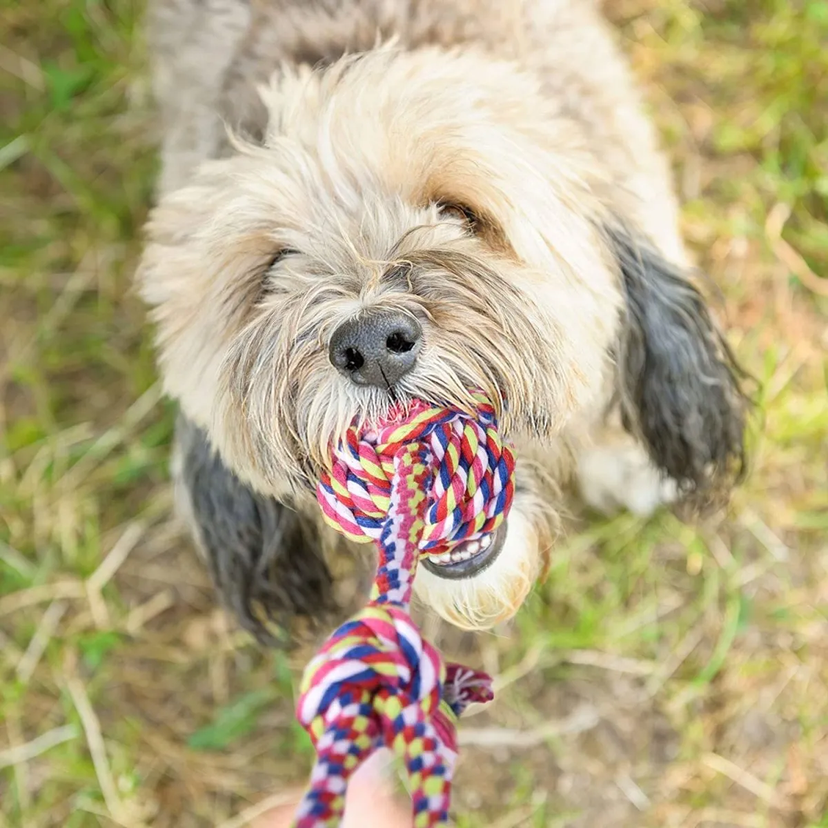 7 Pcs Chew Toy Set for Pets