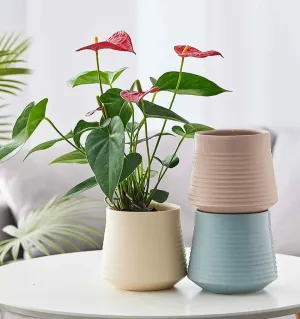 Contemporary Ribbed Ceramic Pot