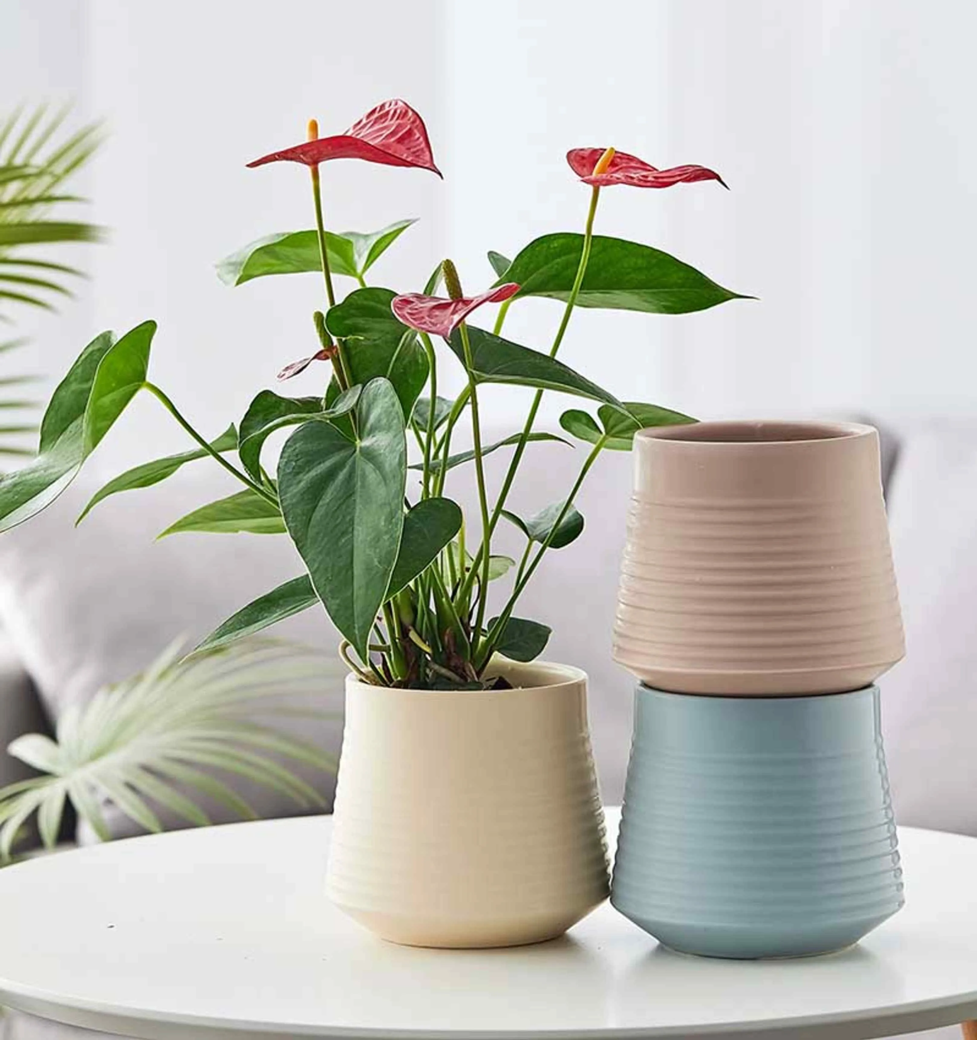 Contemporary Ribbed Ceramic Pot