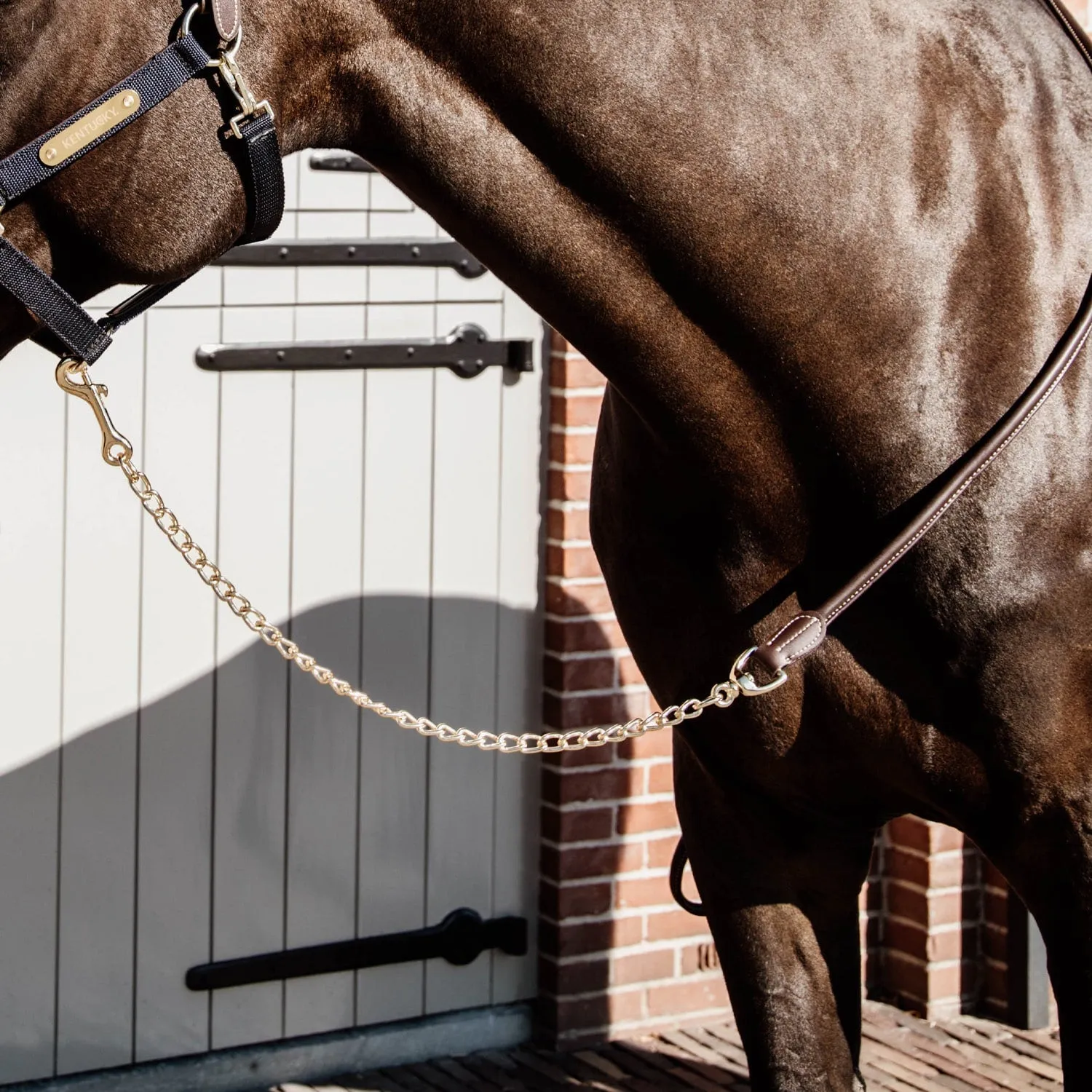 Kentucky Horsewear Rolled Leather Lead Chain 270cm - Brown