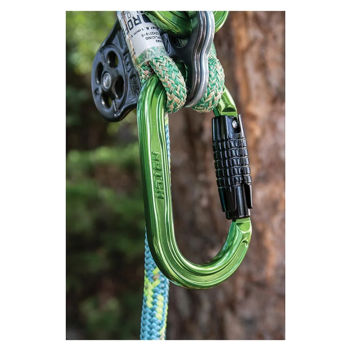 Notch Absolute Oval Alum Carabiner