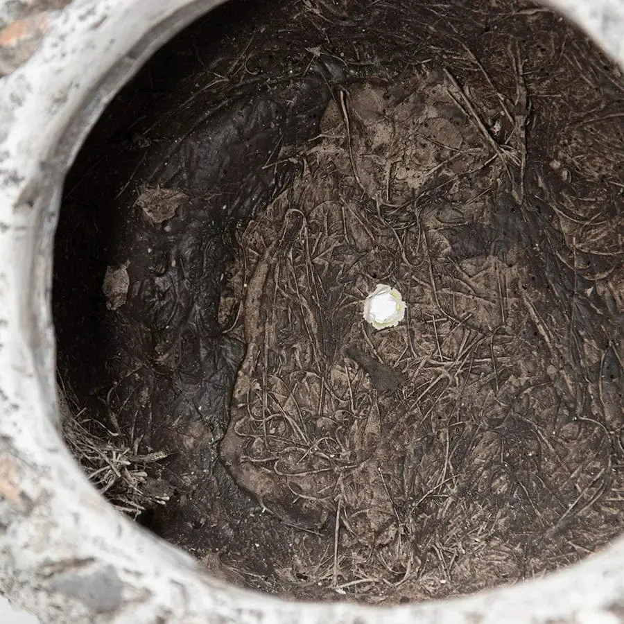 Stony Echidna Planter with drain hole & plug