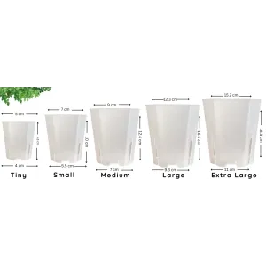 Translucent Square Grow Pots