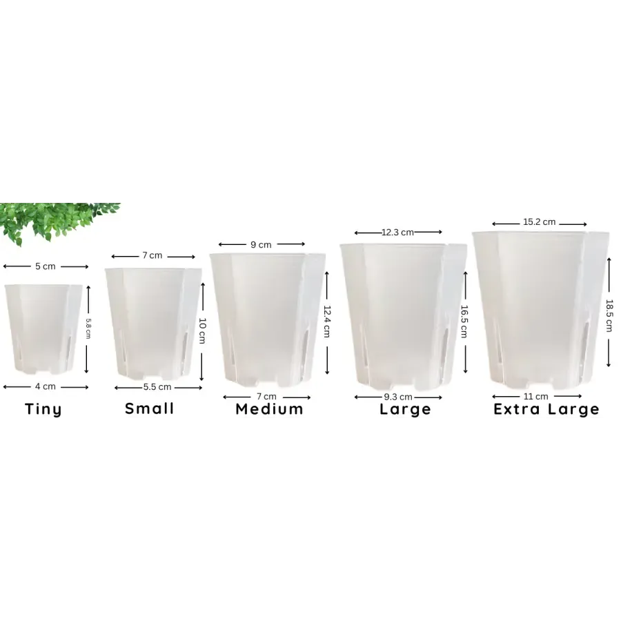 Translucent Square Grow Pots