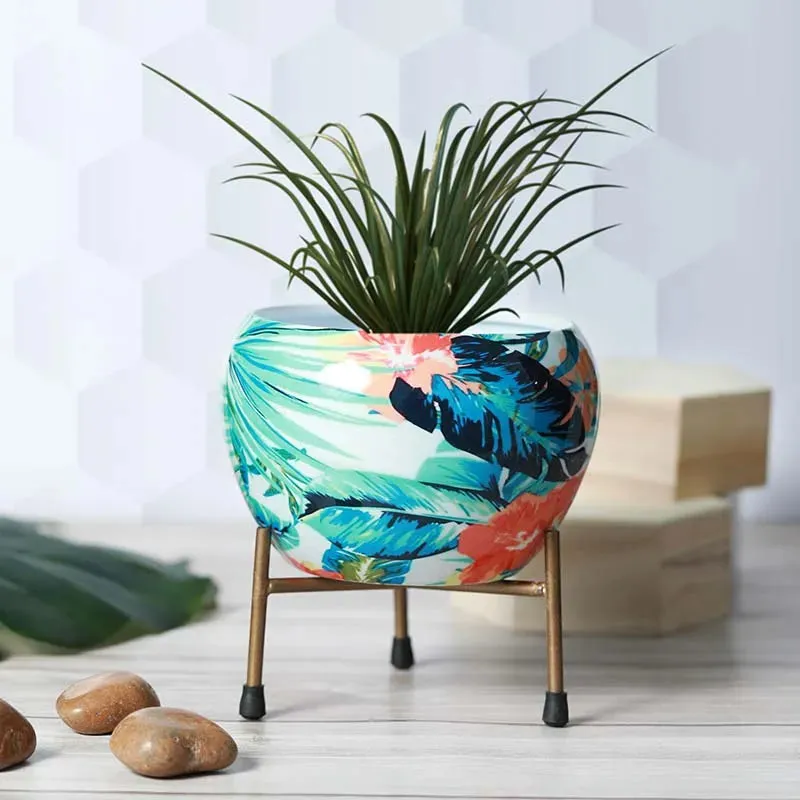 Tropical Multi-Hued Resilient Metal Pots With Stand | Set of 2 | 5 x 6 inches